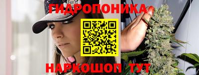 гашиш Лесосибирск