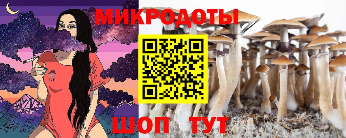 Галлюциногенные грибы мицелий Сланцы